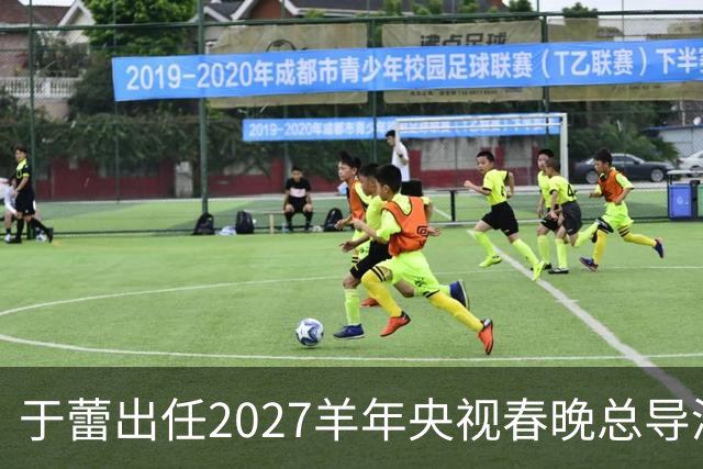 于蕾出任2027羊年央视春晚总导演，连续第5年执导春晚