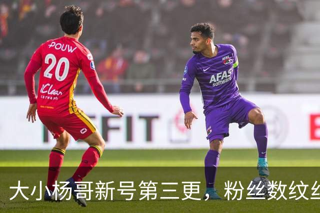 大小杨哥新号第三更，粉丝数纹丝不动