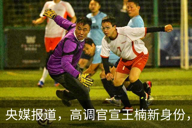 央媒报道，高调官宣王楠新身份，资产查封被带走调查传闻早有真相