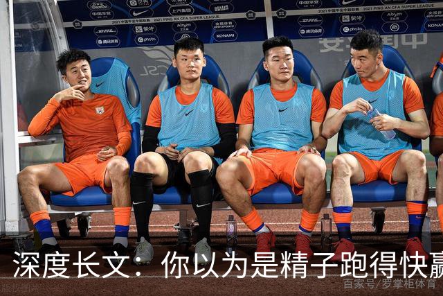 深度长文：你以为是精子跑得快赢的？卵子不选，跑得再快没用！