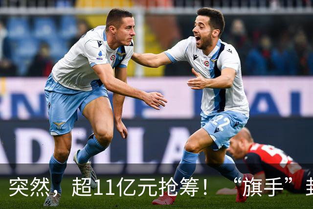 突然，超11亿元抢筹！“旗手”封死涨停，发生了什么？