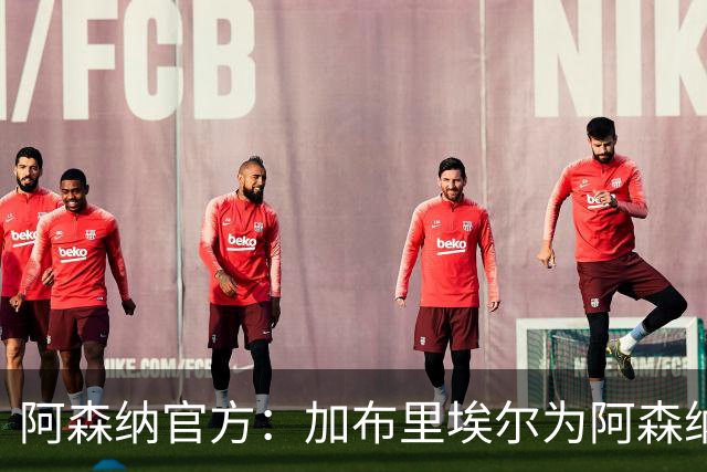 阿森纳官方：加布里埃尔为阿森纳完成200场英超出场