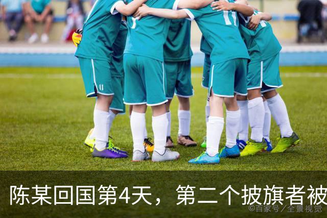 陈某回国第4天，第二个披旗者被揪了出来！现形后想销号赶紧跑路
